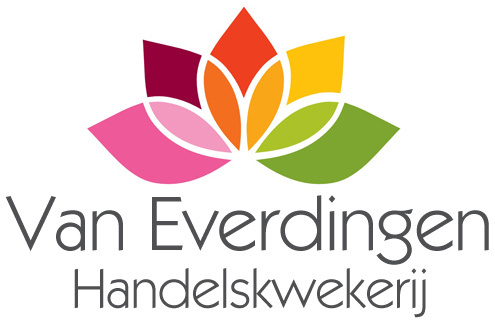 Handelskwekerij van Everdingen | 