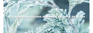 Nieuwjaar